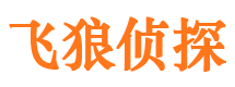 柳江侦探公司